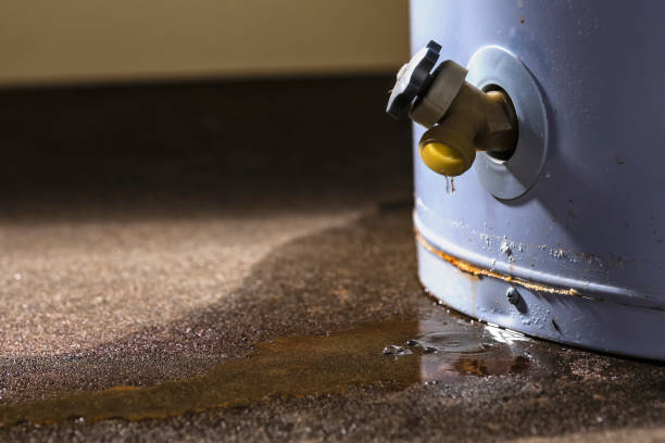 Best Carpet water damage restoration  in Chapel Hill, TN