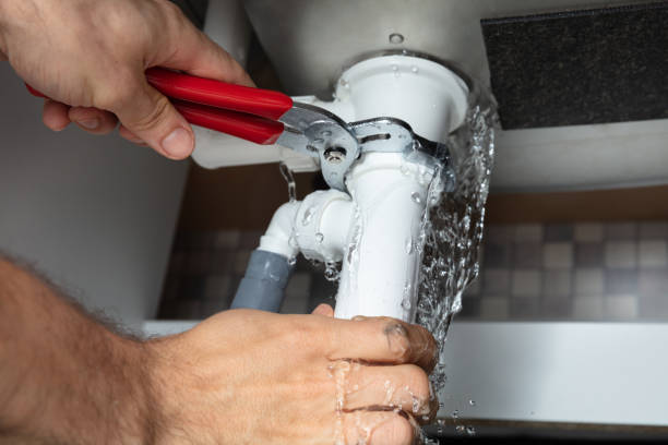 Best Water damage restoration specialists  in Chapel Hill, TN