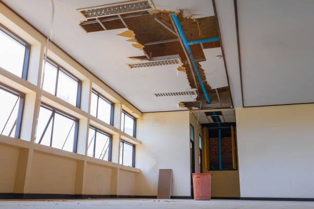 Best Residential water damage restoration  in Chapel Hill, TN