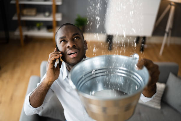 Best Mold removal after water damage  in Chapel Hill, TN