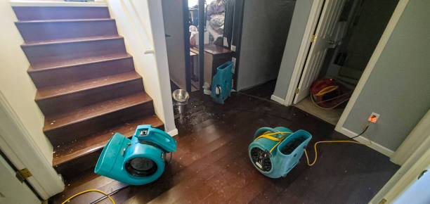 Best Water damage restoration services  in Chapel Hill, TN