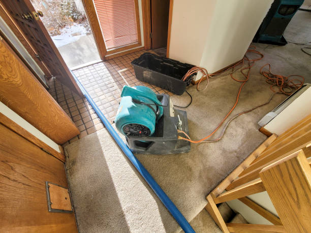Best Commercial water damage restoration  in Chapel Hill, TN