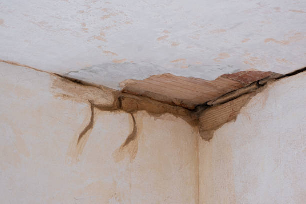 Best 24/7 water damage repair  in Chapel Hill, TN