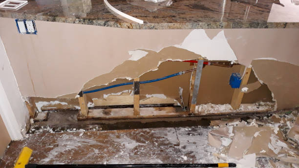 Best Flood damage cleanup  in Chapel Hill, TN