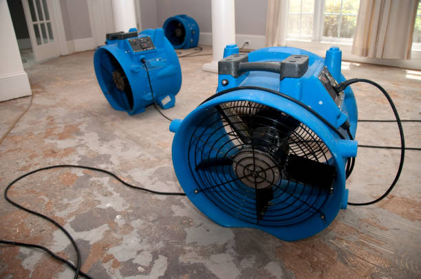 Best Sewage cleanup and water damage restoration  in Chapel Hill, TN