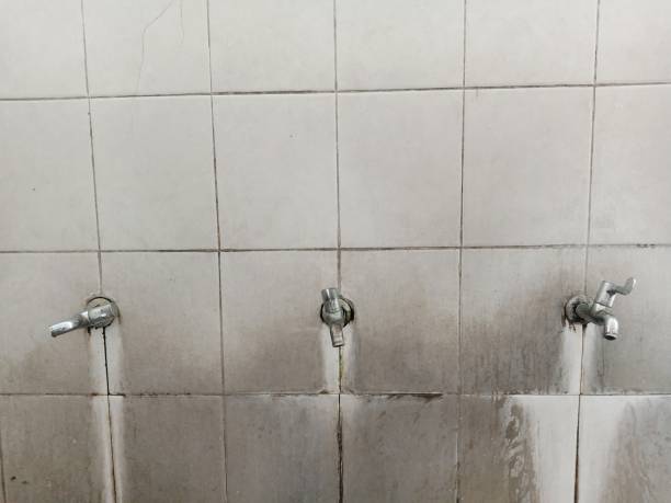 Best Fire Damage Restoration  in Chapel Hill, TN