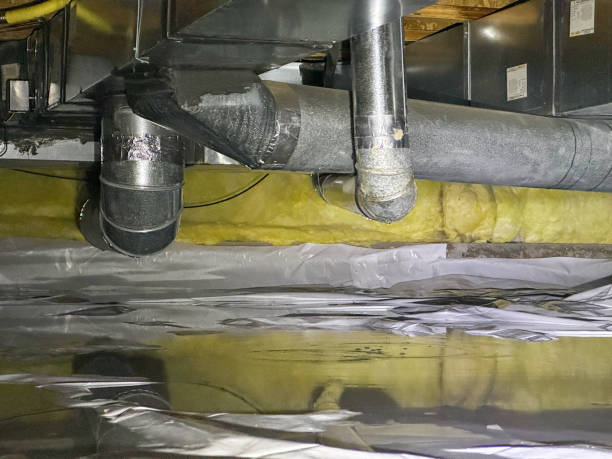Best Water damage restoration near me  in Chapel Hill, TN