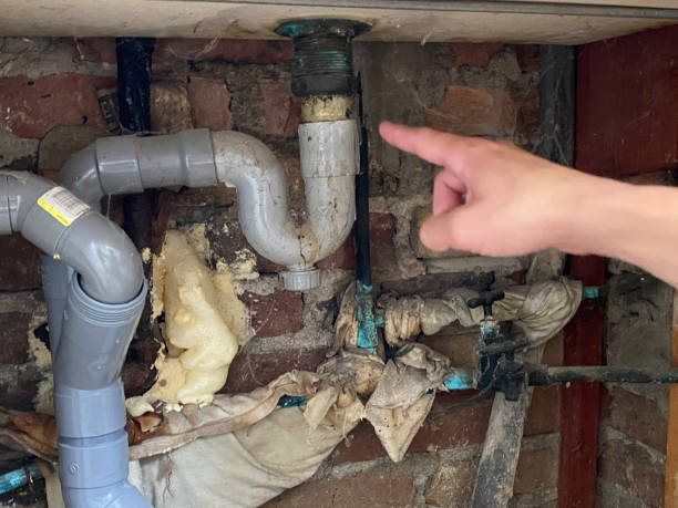 Best 24-hour water damage restoration  in Chapel Hill, TN